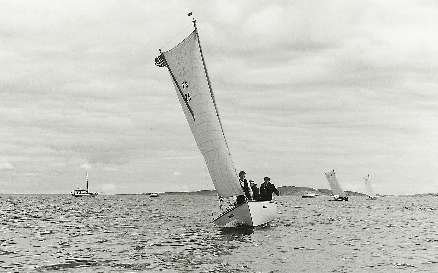 imm016.jpg