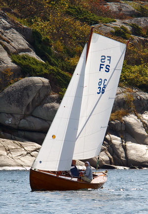fs36 4 resize