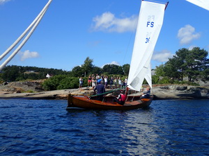 fs36 6 resize
